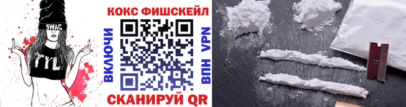 где купить наркоту  Заринск  OMG   Cocaine VHQ 