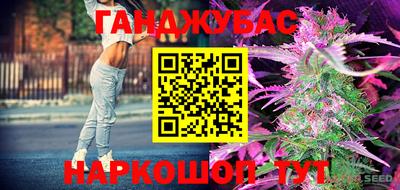 дурь Славгород