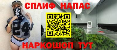 дурь Славгород