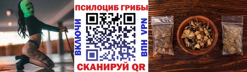 Галлюциногенные грибы мицелий  как найти закладки  Заринск 