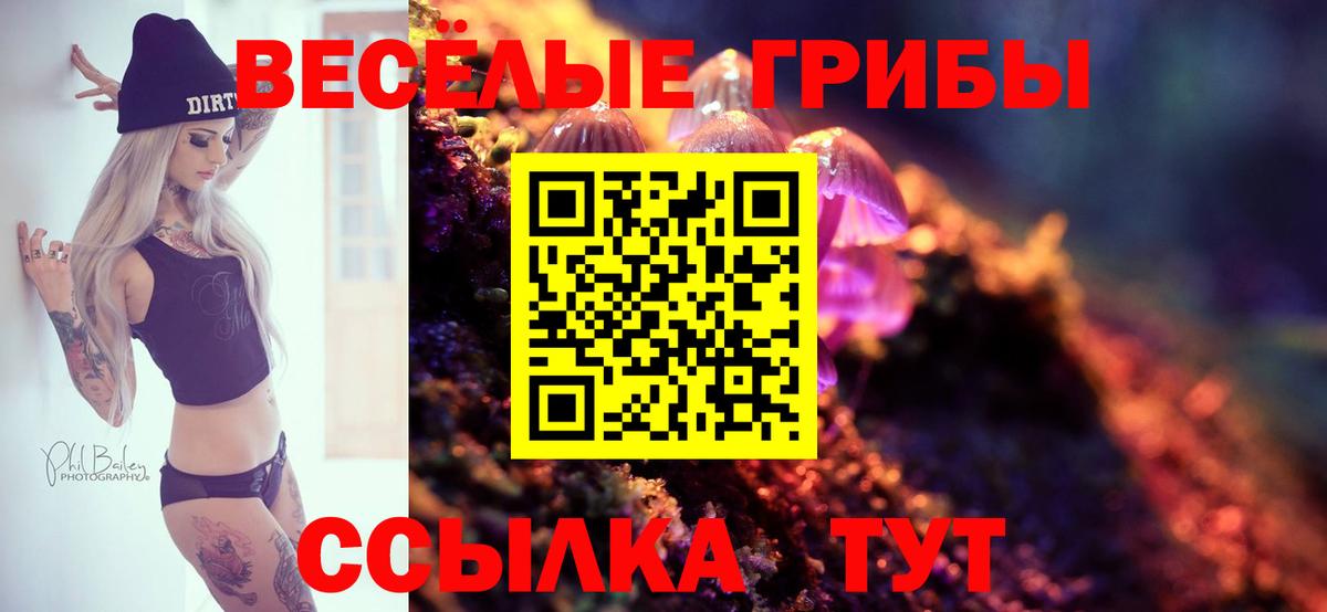 Галлюциногенные грибы Magic Shrooms  Псилоцибиновые грибы MAGIC MUSHROOMS  Заринск  Вход с VPN 